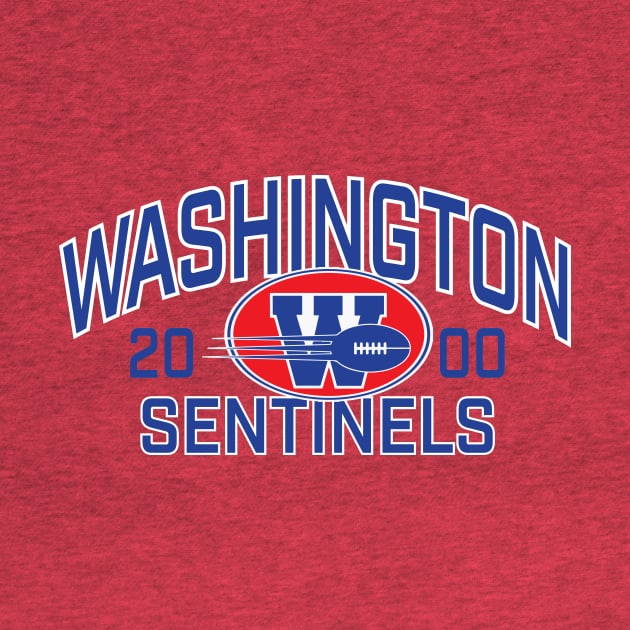 Washington Sentinels by HeyBeardMon